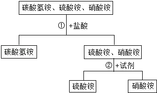 2024年11月22日 第4页